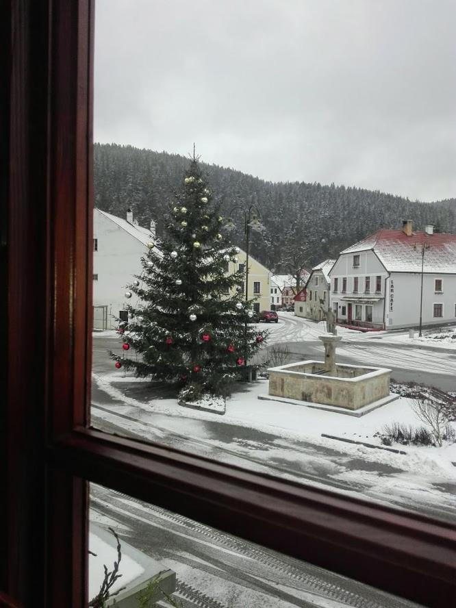 Hotel U Martina - Kocabka Rožmberk nad Vltavou Zewnętrze zdjęcie